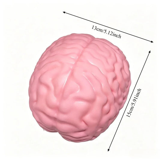 Giant Brain Squishy - Jumbo Slow Rising Stress Relief Toy