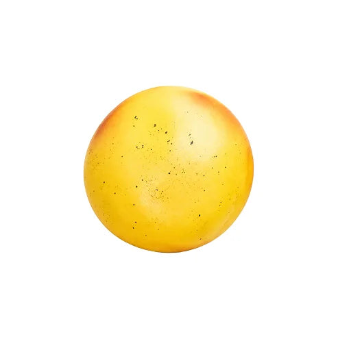 Crunchy Potato Squishy