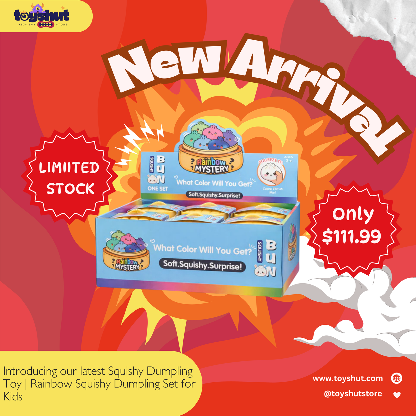 Dumpling Squishy Mystery Toy | Mystery Squishy Dumplings | Set for Kids Pack of 12