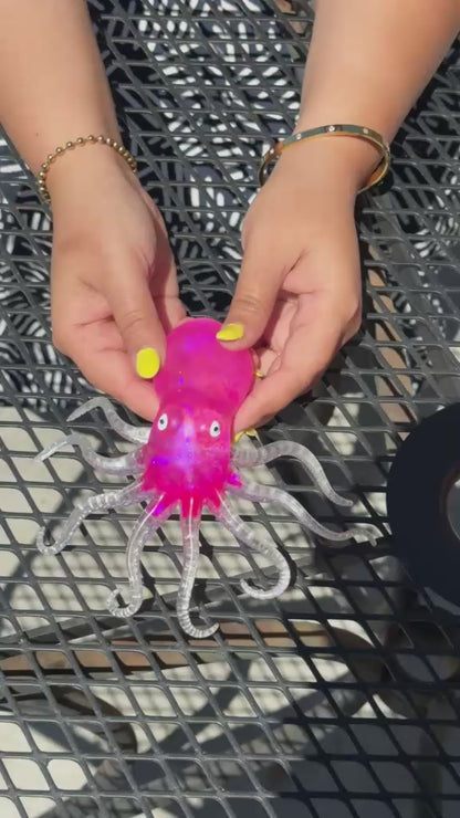 Squid Squishy - Colour may vary