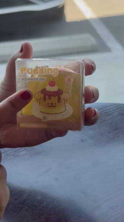 Crunchy Pudding Squishy  - New Arrival