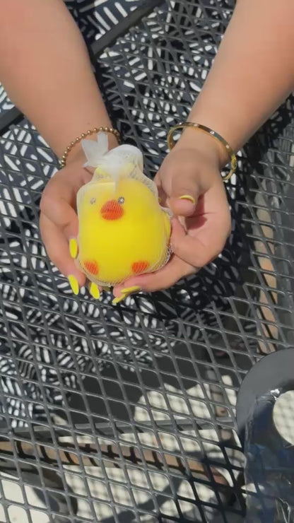 Chick Squishy - Colour may vary  - New Arrival